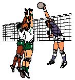 VB