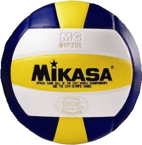 Volleyball