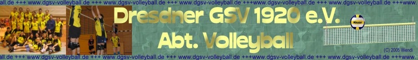 Banner DGSV 1920 e.V. Abt. Volleyball